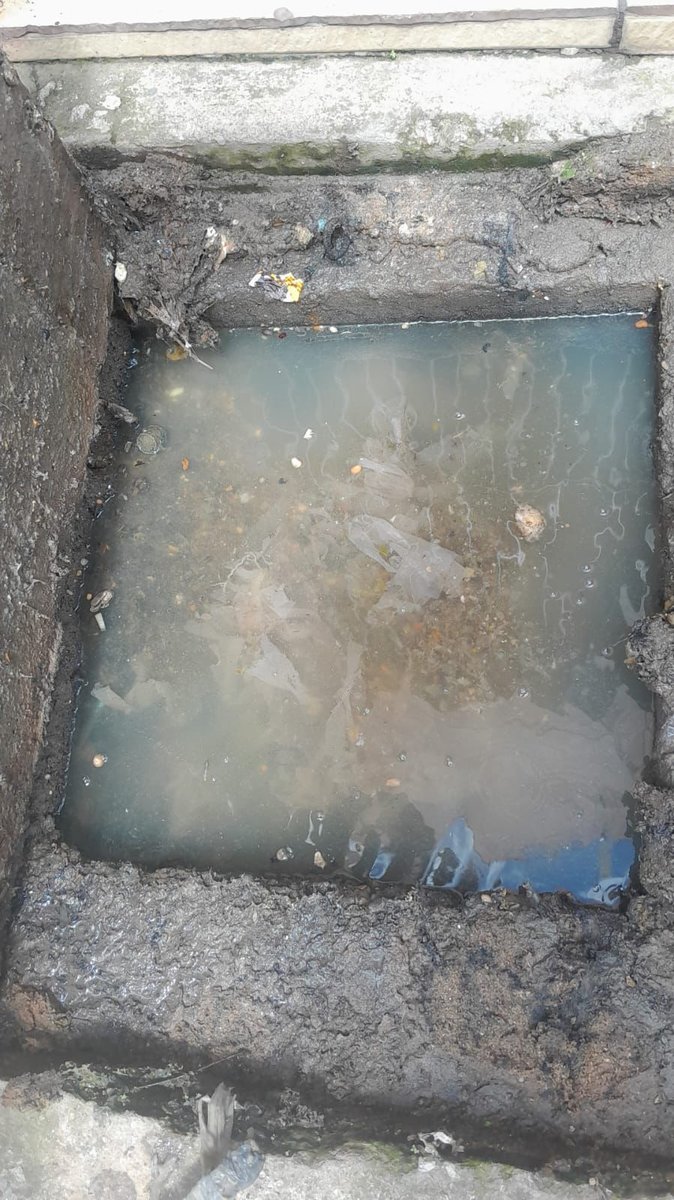 Limpeza de caixa de gordura